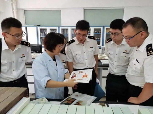 面向成年人的鑒定人培訓(xùn)服務(wù)簡(jiǎn)介